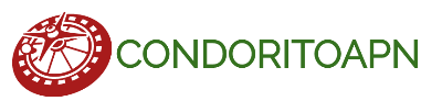 condoritoapn logo